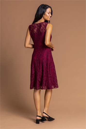 Glitter Lace Fit and Flare Dress 14010995