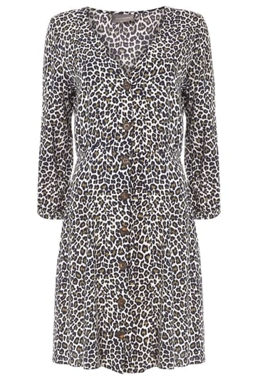 Leopard Print Button Through Skater Dress 14103540