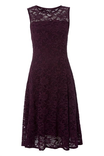 Lace Fit and Flare Dress 14010976