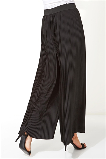 Pleated Wide Leg Trousers 18010608