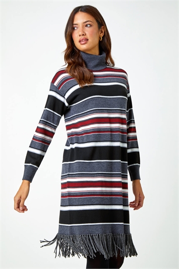 Stripe Roll Neck Fringe Knitted Dress 14435195