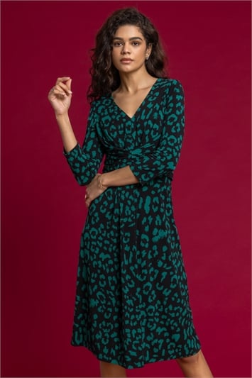 Animal Print Fit And Flare Dress 14040034