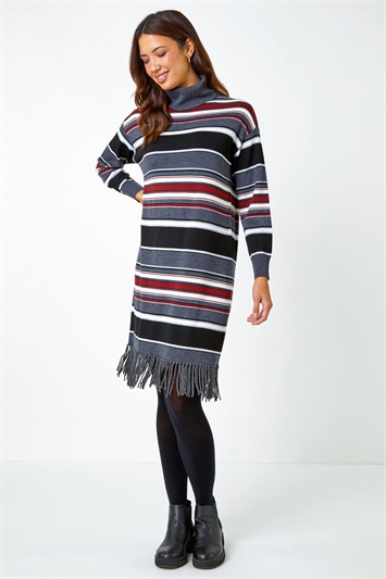 Stripe Roll Neck Fringe Knitted Dress 14435195