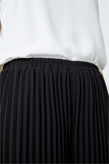 Pleated Wide Leg Trousers 18045608
