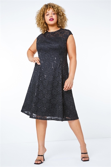 Sequin Lace Fit and Flare Dress 14203108