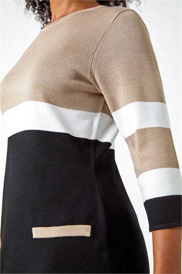 Petite Stripe Print Pocket Jumper Dress 14424916