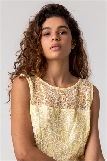 Lemon Lace Detail Fit And Flare Dress, Image 4 of 4