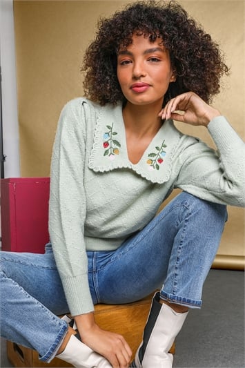 Floral Embroidered Collar Jumperand this?