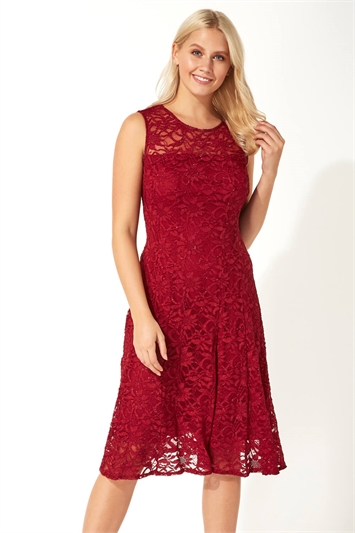 Glitter Lace Fit and Flare Dress and this?