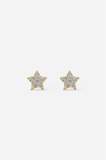 Gold Stainless Steel Plated Star Earrings