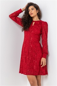 Red Lace Sparkle Swing Dress