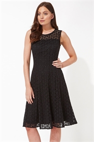 Black Lace Fit and Flare Dress