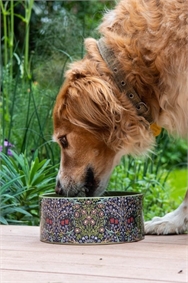 Khaki Heathcote & Ivory - Canine Companion Ceramic Feeding Bowl