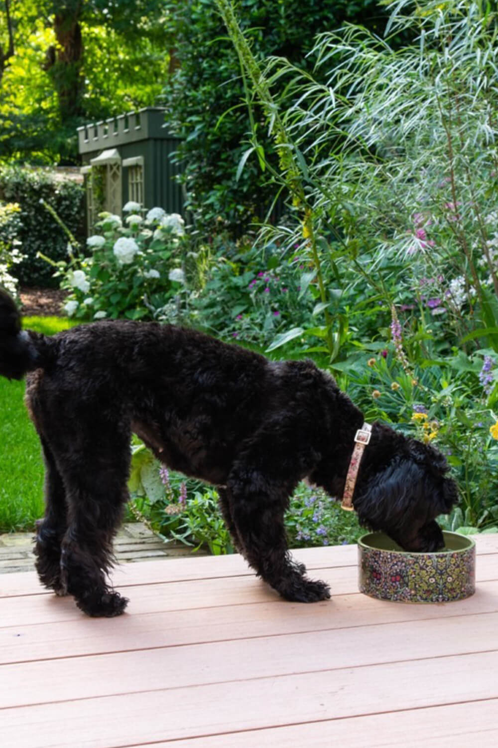 KHAKI Heathcote & Ivory - Canine Companion Ceramic Feeding Bowl, Image 2 of 4