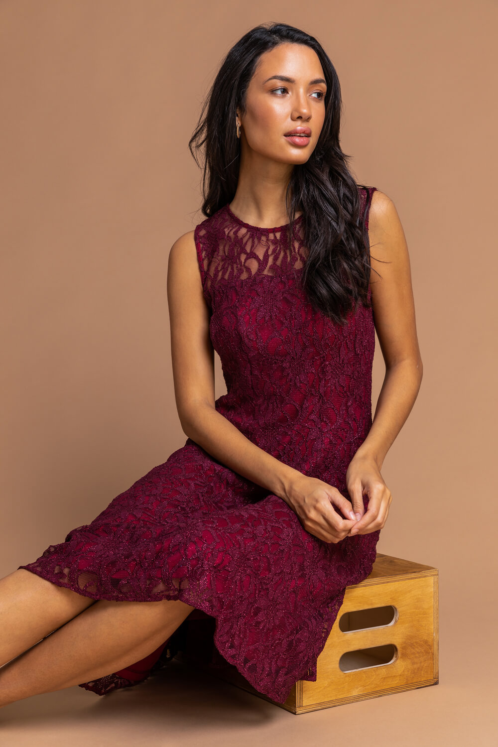 Wine Glitter Lace Fit and Flare Dress , Image 4 of 4