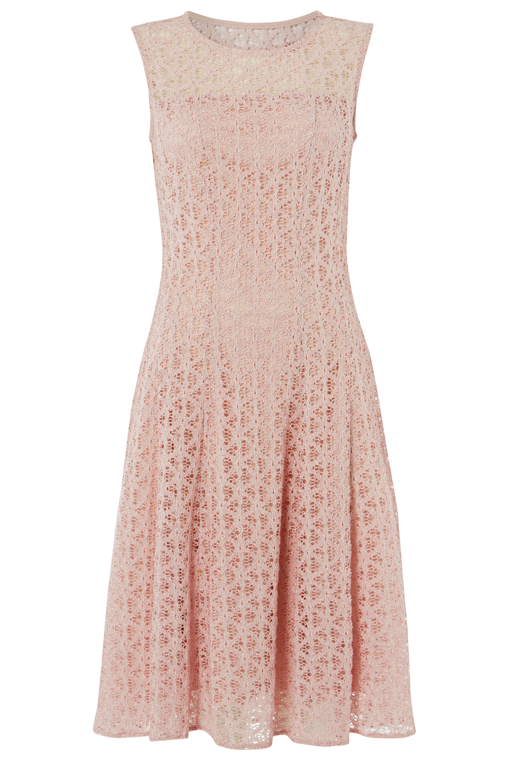 Lace Fit and Flare Dress in Light Pink - Roman Originals UK