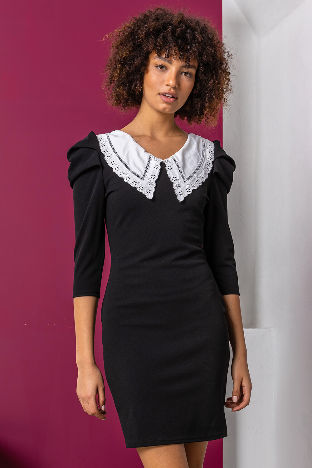 Black Lace Collar Detail Fitted Dress, Image 3 of 4