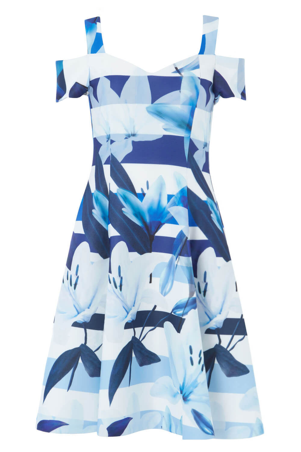Blue Floral Stripe Fit and Flare Dress , Image 5 of 5