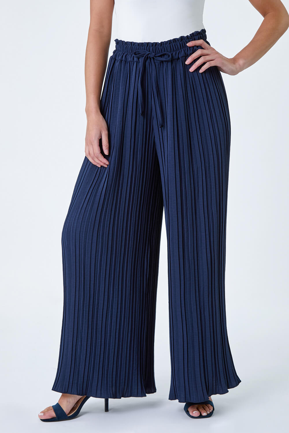 Navy  Petite Pleated Wide Leg Trousers, Image 3 of 6