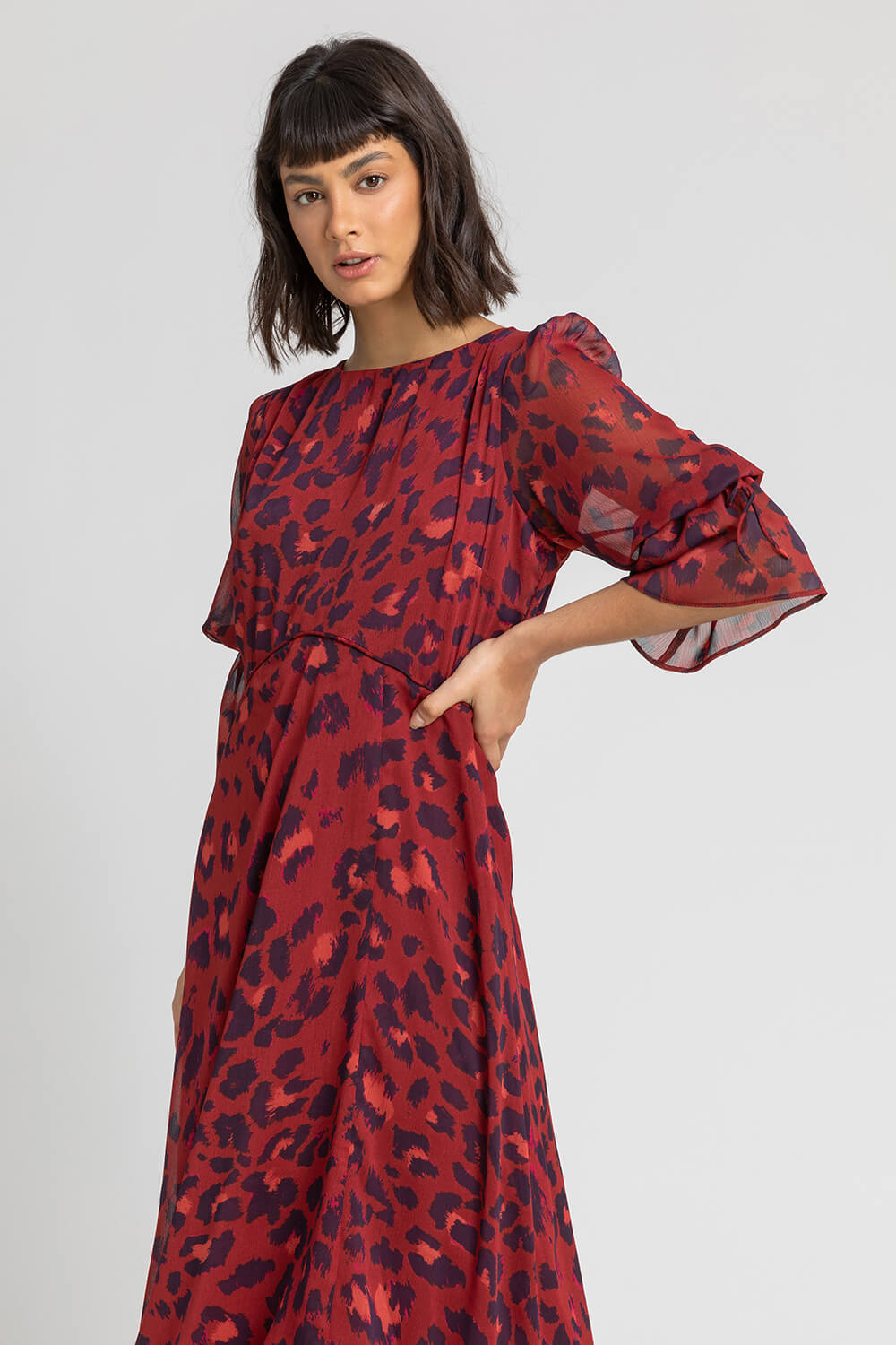 Rust Leopard Print Chiffon Maxi Dress, Image 5 of 5