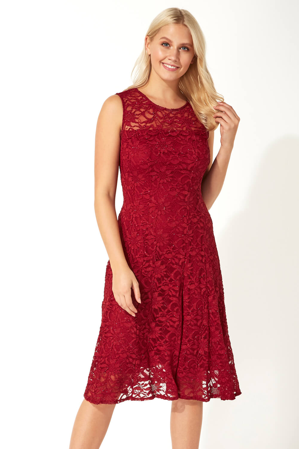 Glitter Lace Fit and Flare Dress 