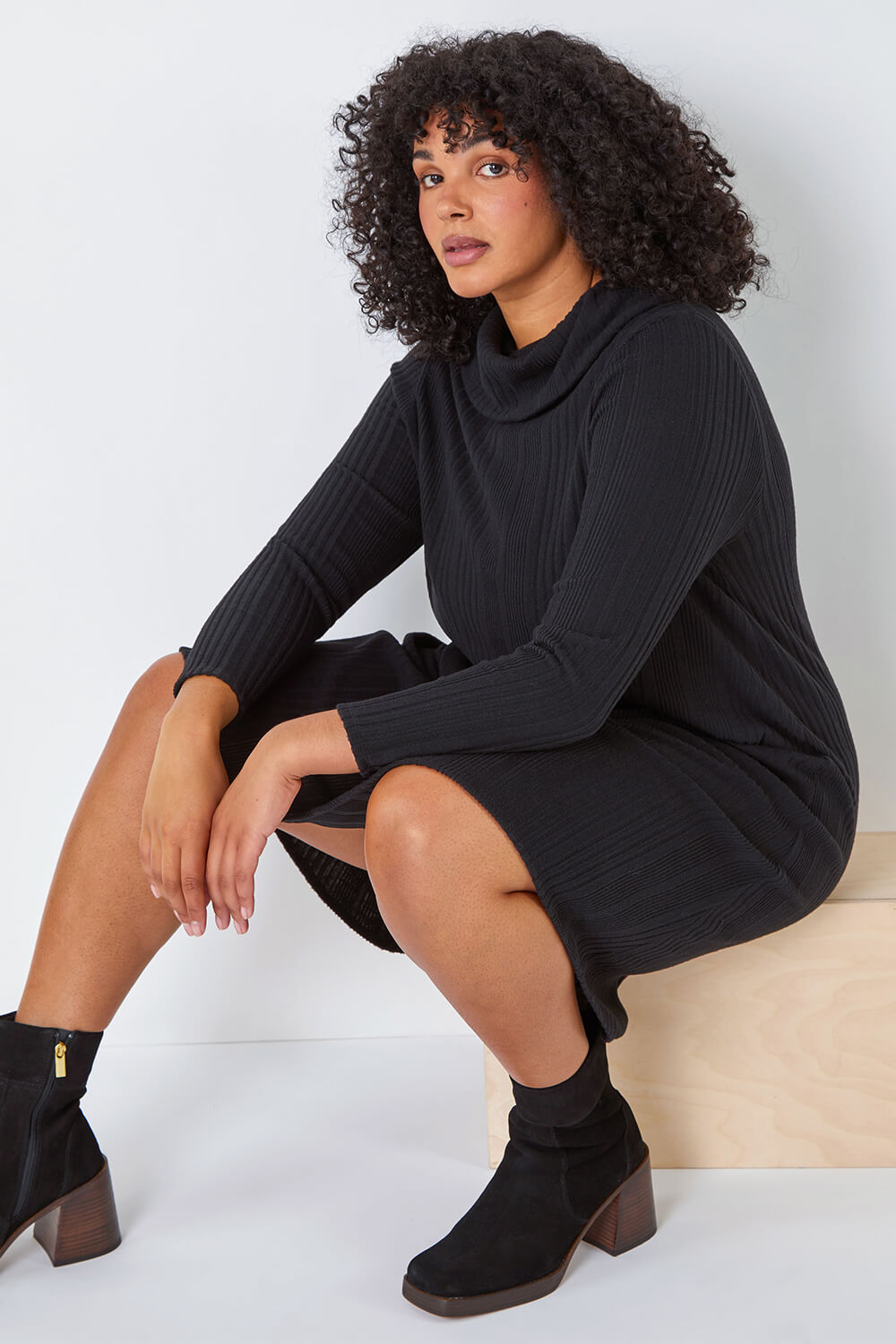Curve Roll Neck Ribbed Stretch Dress