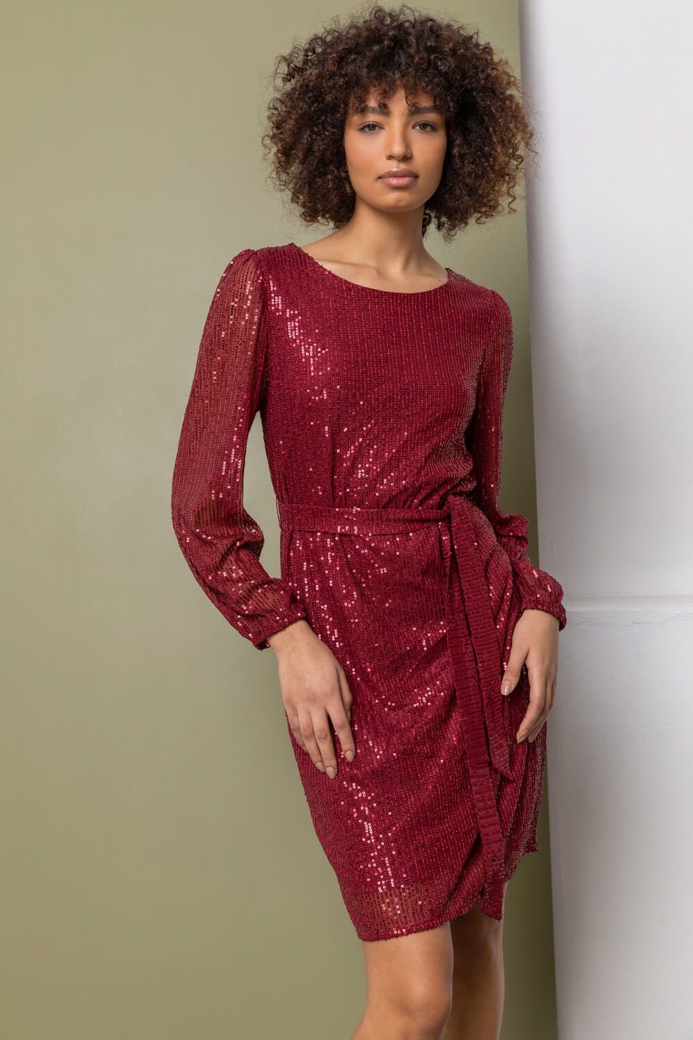 Bordeaux Belted Sequin Sheer Sleeve Dress | Roman UK