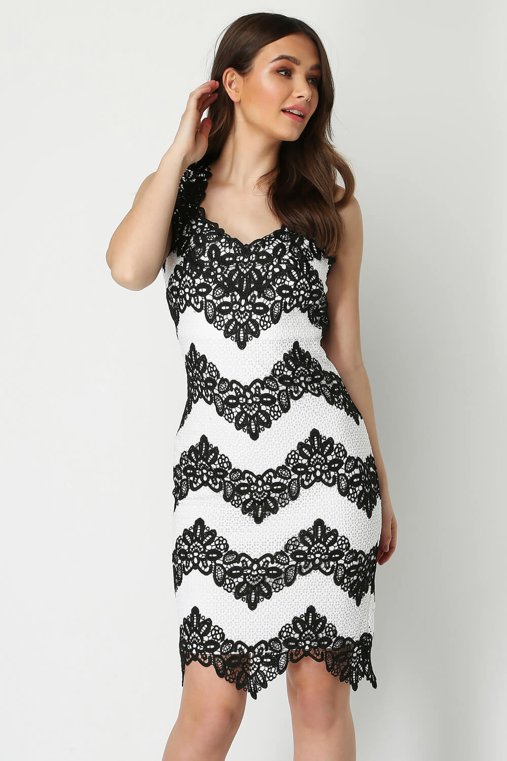 Contrast Lace Fitted Dress